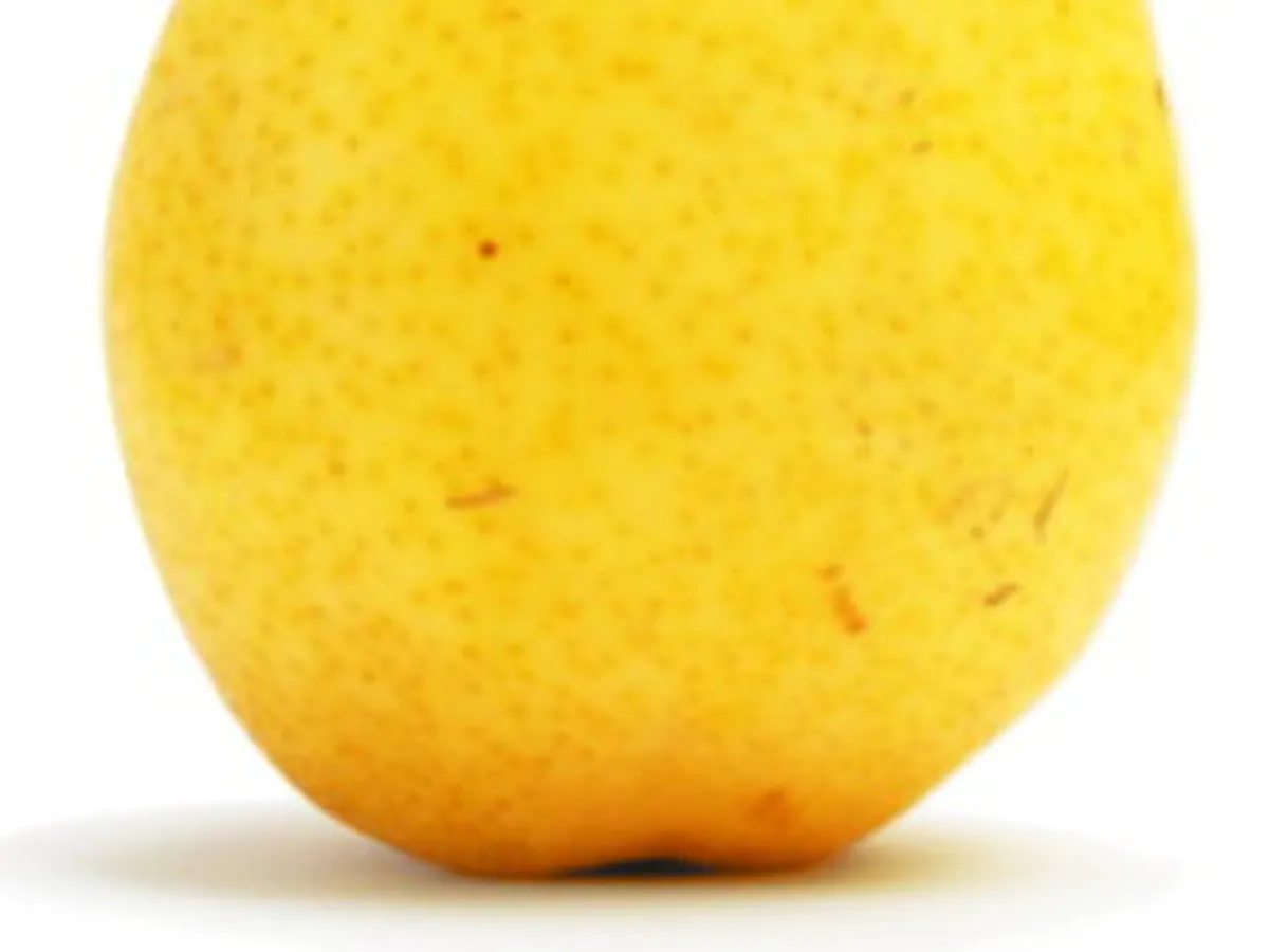 Дива круша (Pyrus pyraster)